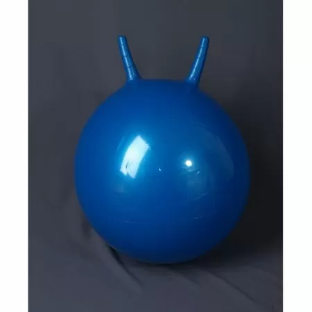 L 2355b Гимнастический мяч 55см (в коробке с насосом) синий L 2355b Гимнастический мяч 55см (в коробке с насосом) синий