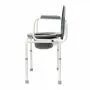 Кресло-туалет Barry WC302 с откидывающимися поручнями Кресло-туалет Barry WC302 с откидывающимися поручнями