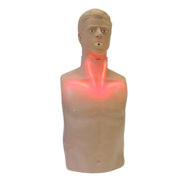 Тренажер-манекен взрослого пострадавшего для отработки приемов сердечно-легочной реанимации Александр М-03, артикул М4007 Тренажер-манекен взрослого пострадавшего для отработки приемов сердечно-легочной реанимации Александр М-03, артикул М4007