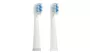 Насадки CS Medica SP-21 для зубной щетки CS Medica SonicPulsar CS-262/CS-233-UV/CS-232 Станд. (2шт) Насадки CS Medica SP-21 для зубной щетки CS Medica SonicPulsar CS-262/CS-233-UV/CS-232 Станд. (2шт)