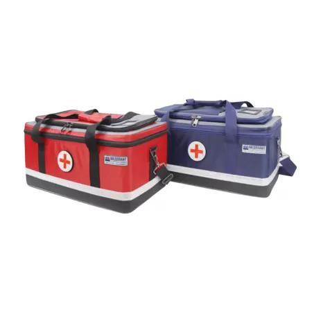 Укладка для оказания первой помощи с применением медицинских изделий пострадавшим в дорожно-транспортных происшествиях сотрудниками ГИБДД МВД РФ по приказу 207н МЕДПЛАНТ в двух сумках СР-03, артикул 1671 Укладка для оказания первой помощи с применением медицинских изделий пострадавшим в дорожно-транспортных происшествиях сотрудниками ГИБДД МВД РФ по приказу 207н МЕДПЛАНТ в двух сумках СР-03, артикул 1671