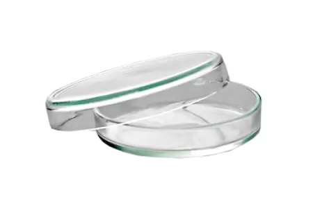 Чашка биологическая ЧМ (Петри) стеклянная 100*20мм толщина стенки 3мм Чашка биологическая ЧМ (Петри) стеклянная 100*20мм толщина стенки 3мм